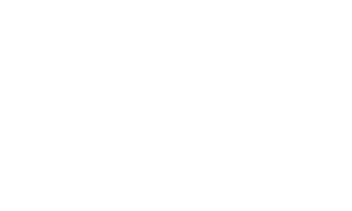 Festival of Lights Logo